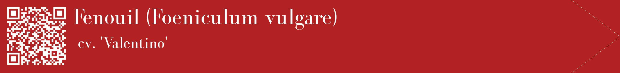 étiquette 2