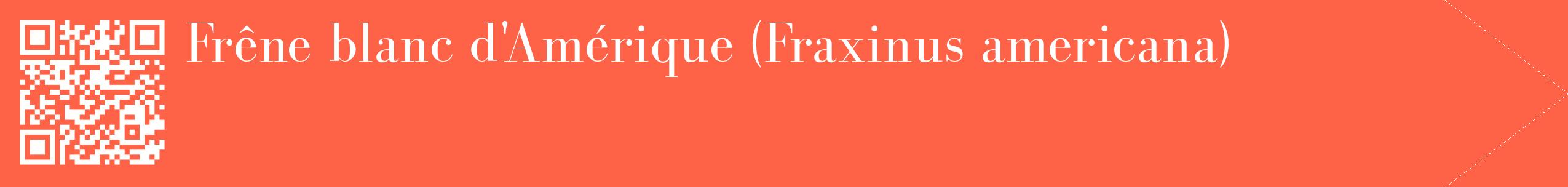 étiquette 2