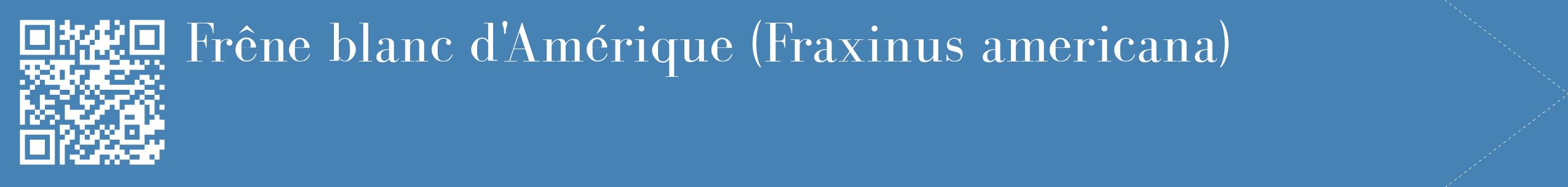 étiquette 2