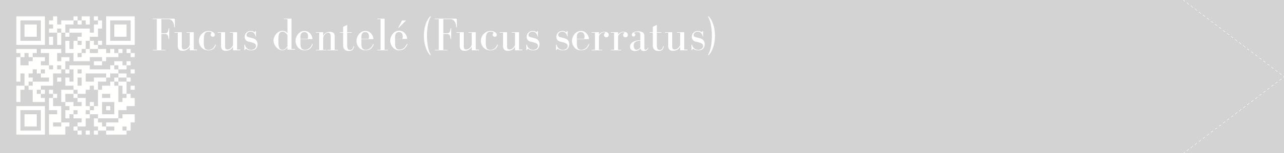 étiquette 2