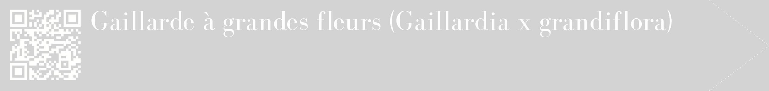 étiquette 2