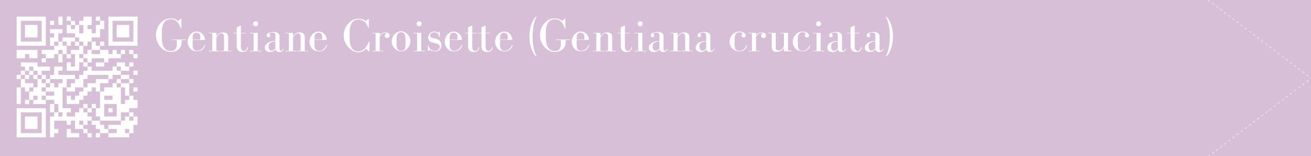 étiquette 2