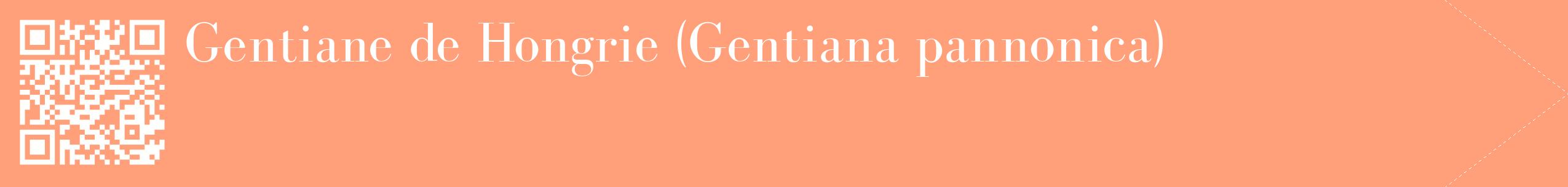 étiquette 2