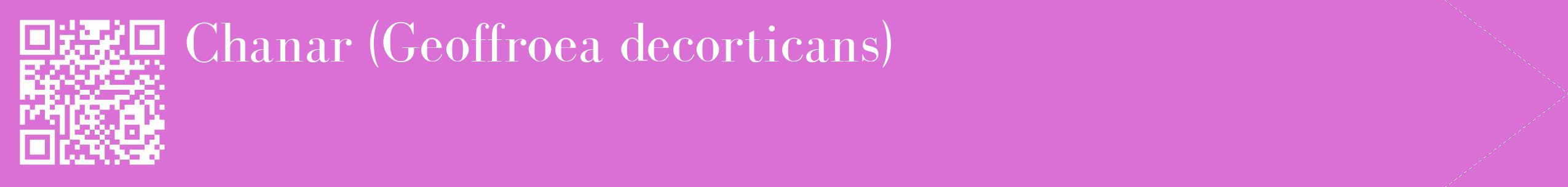 étiquette 2