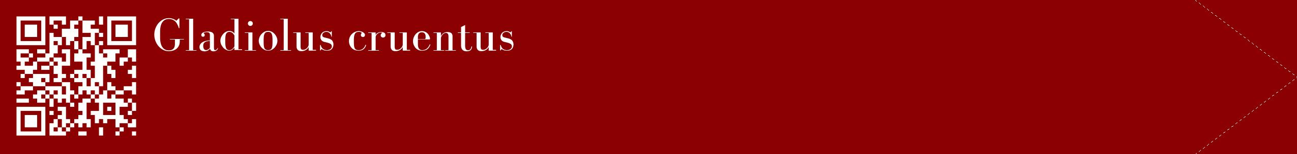 étiquette 2