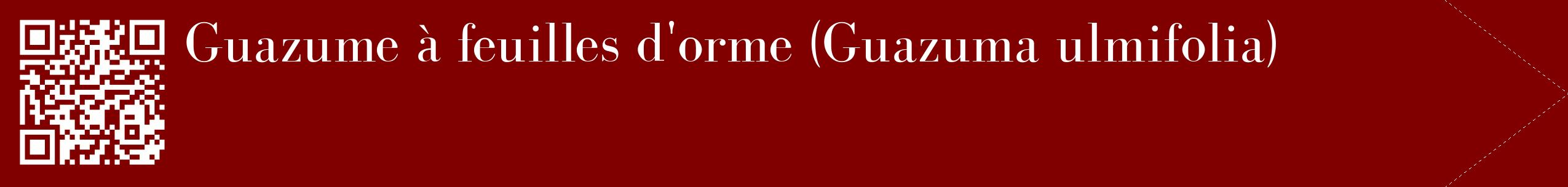 étiquette 2