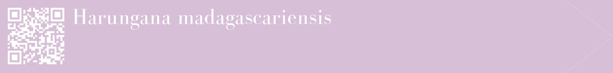 étiquette 2