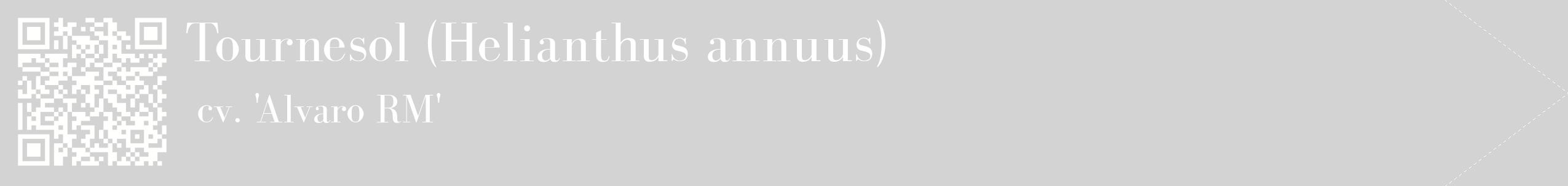 étiquette 2