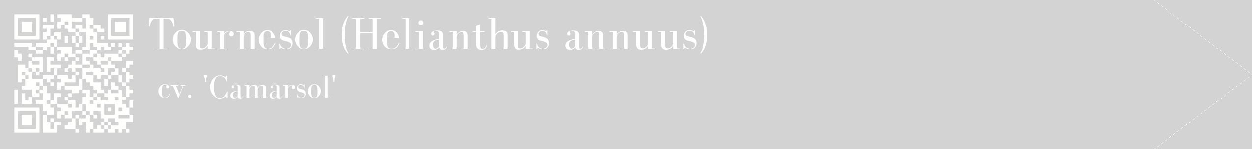 étiquette 2