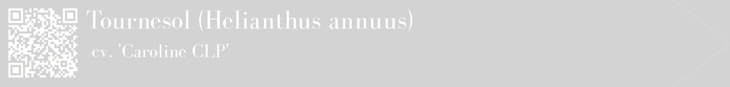 étiquette 2