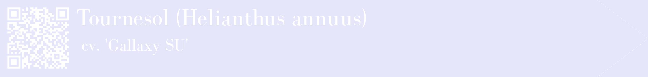 étiquette 2
