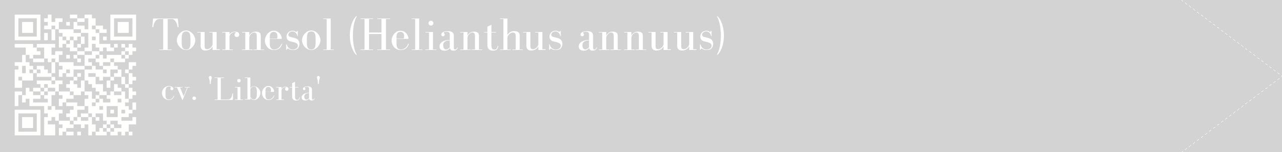 étiquette 2