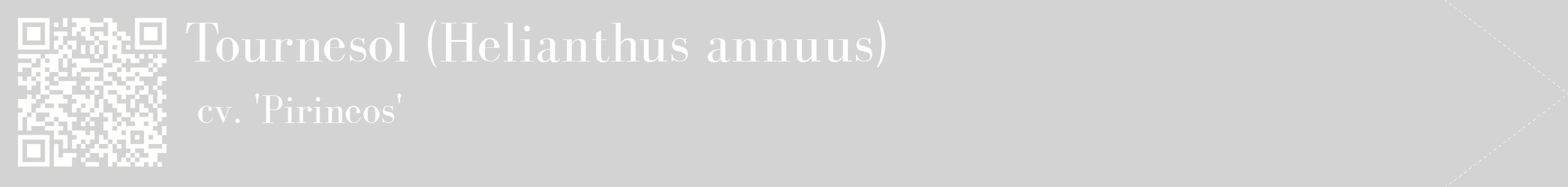 étiquette 2