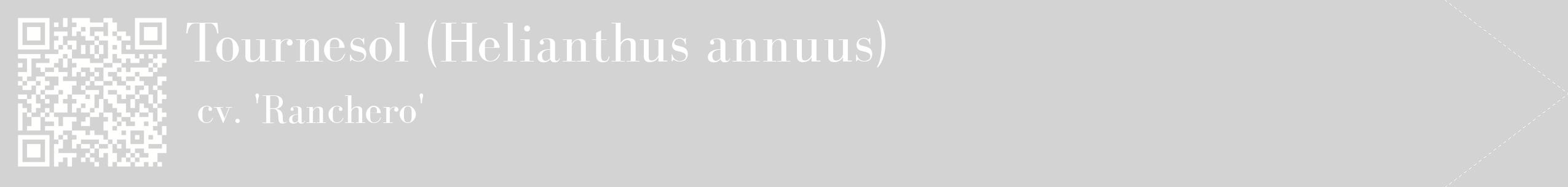 étiquette 2