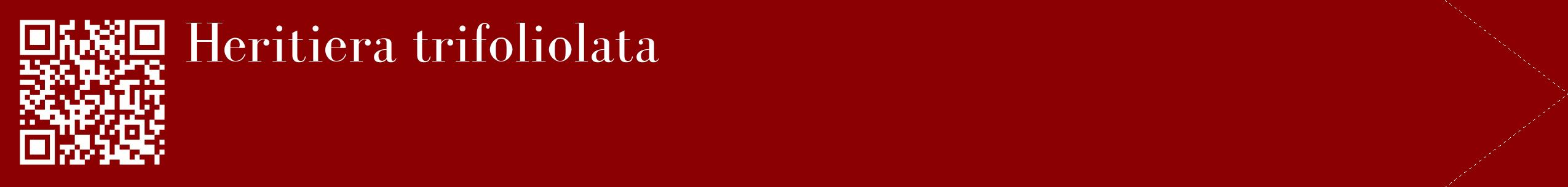 étiquette 2