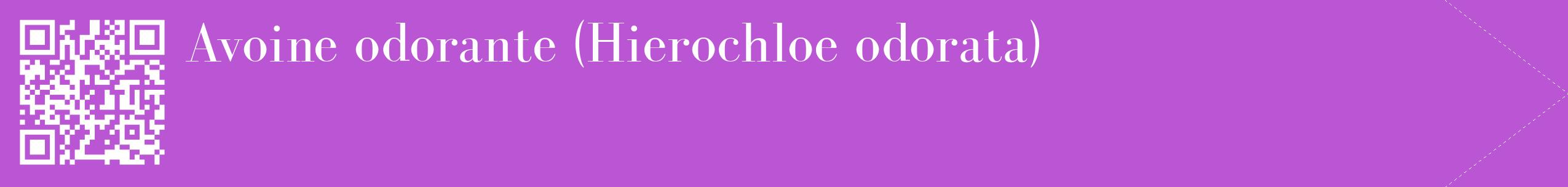 étiquette 2