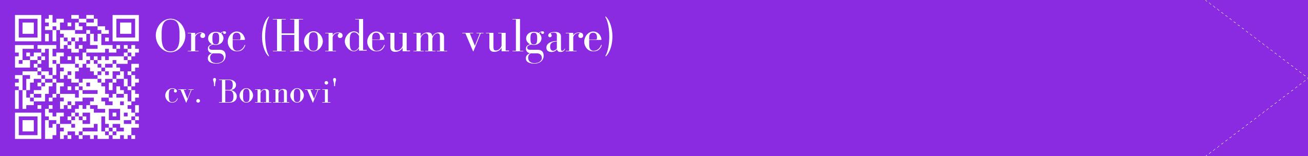 étiquette 2