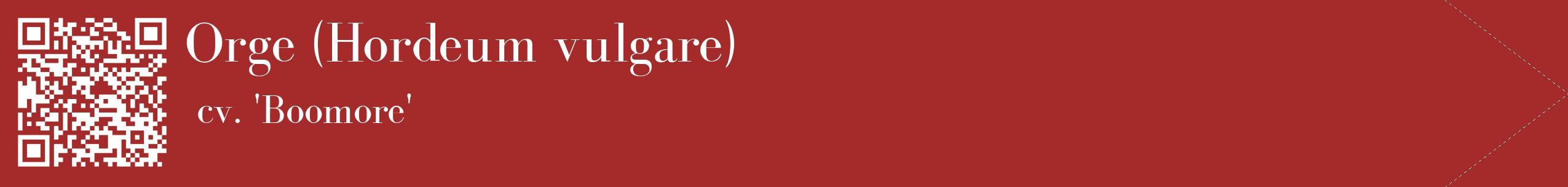 étiquette 2