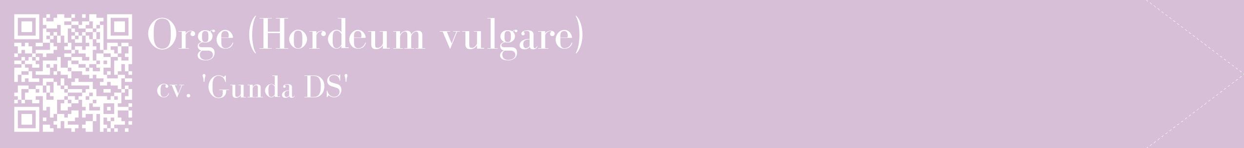 étiquette 2