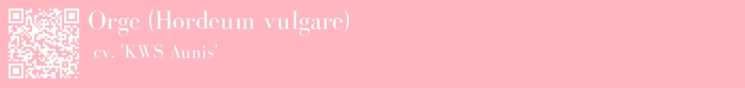 étiquette 2