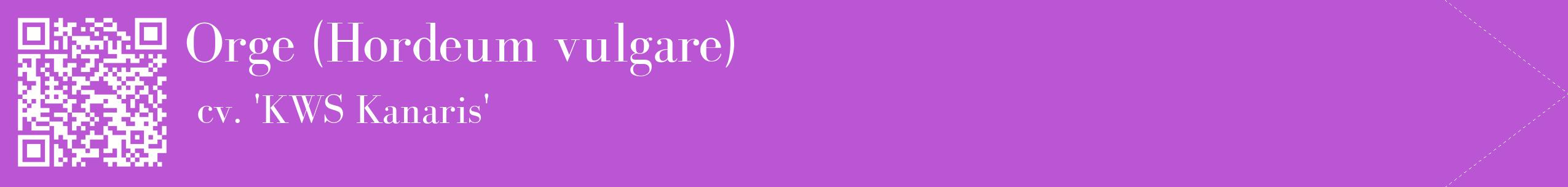 étiquette 2