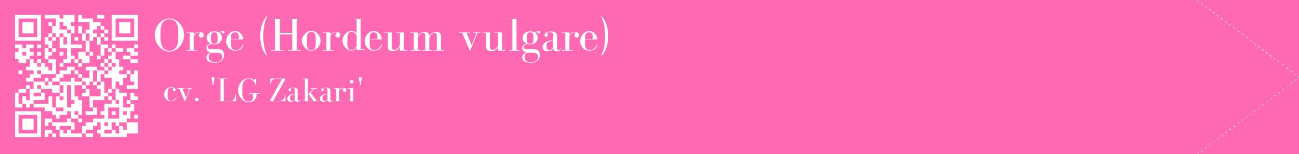étiquette 2
