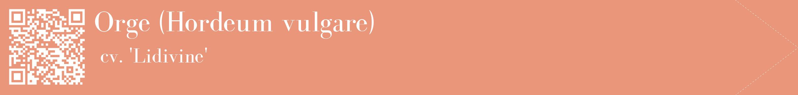 étiquette 2
