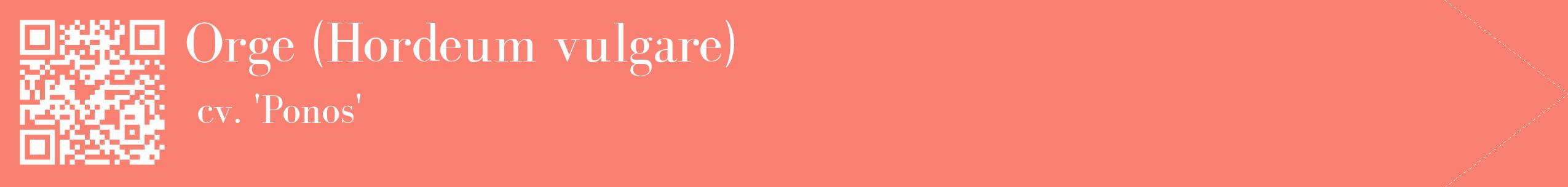 étiquette 2