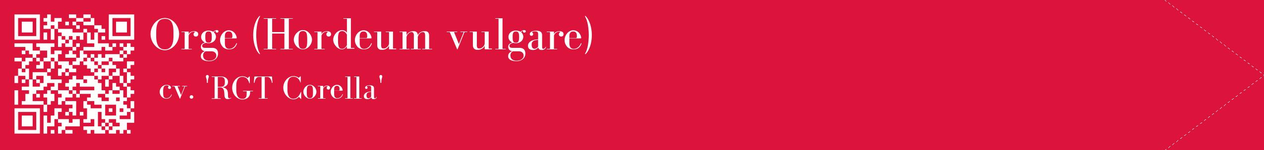 étiquette 2