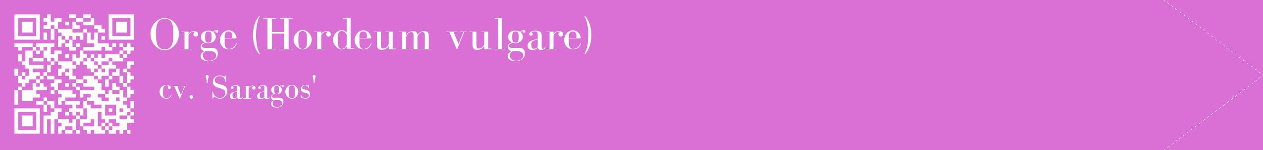 étiquette 2
