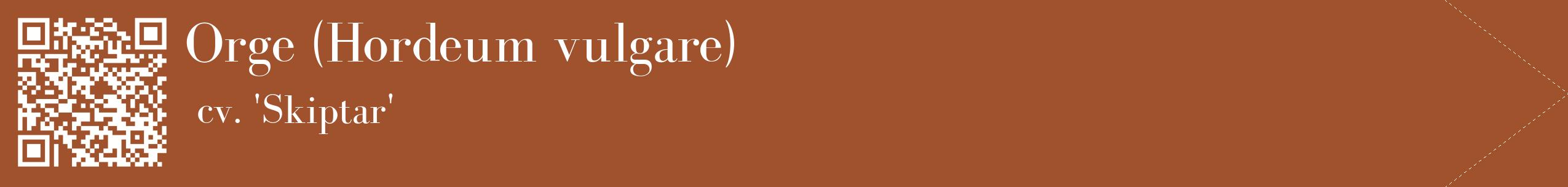 étiquette 2
