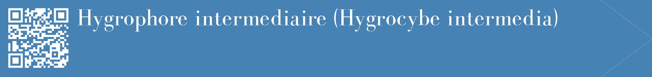 étiquette 2