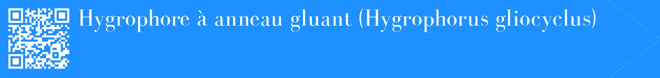 étiquette 2
