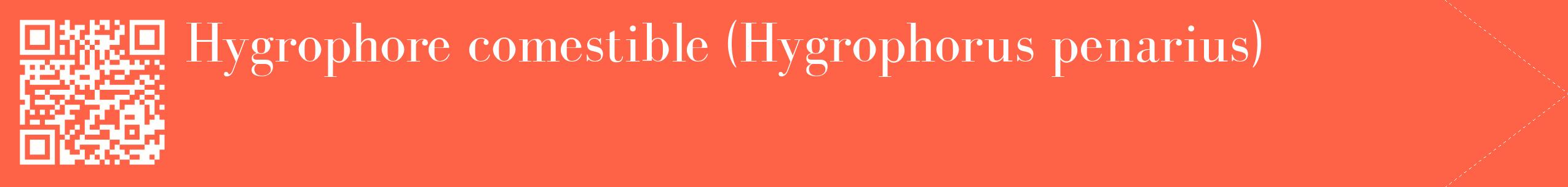 étiquette 2