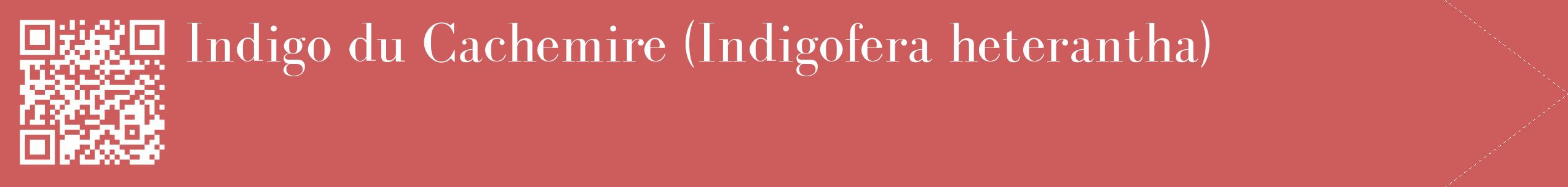 étiquette 2
