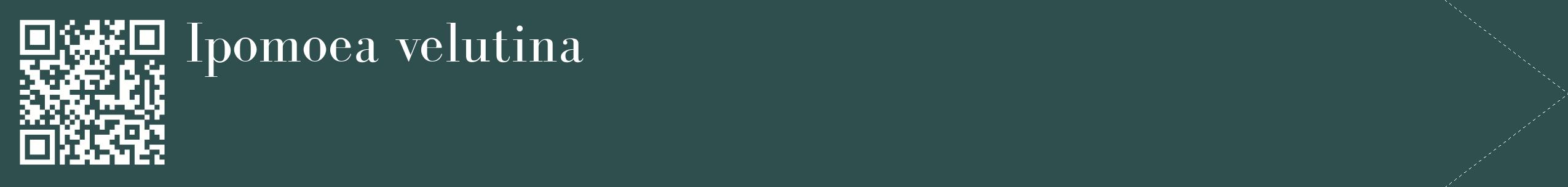 étiquette 2