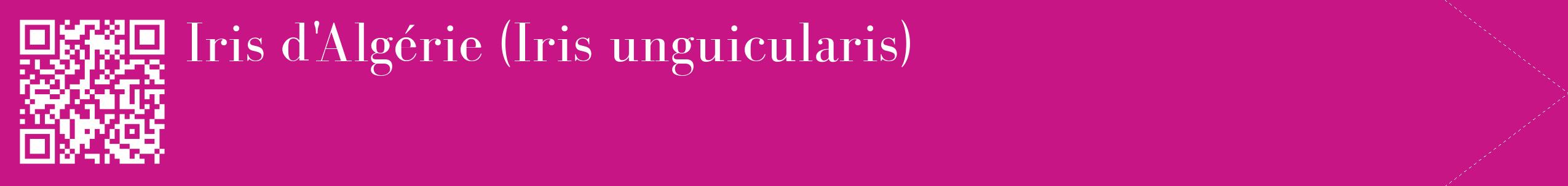 étiquette 2