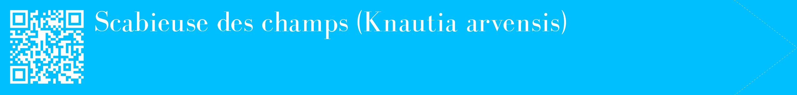 étiquette 2