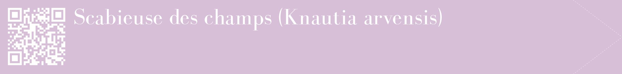 étiquette 2