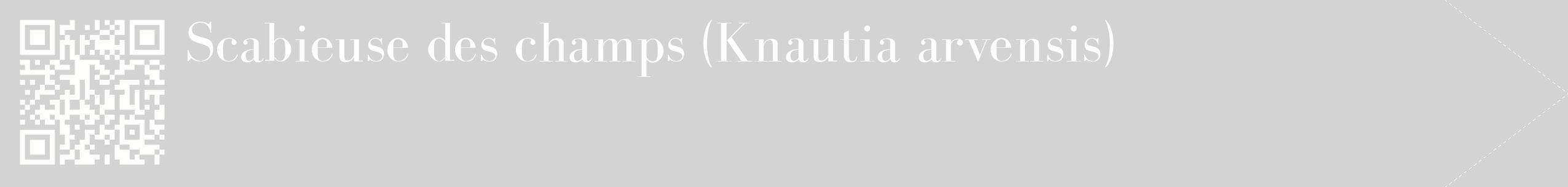 étiquette 2