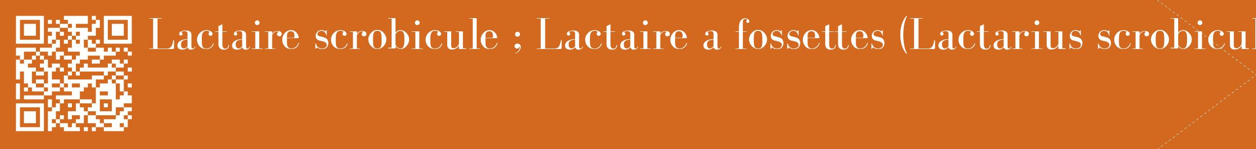 étiquette 2