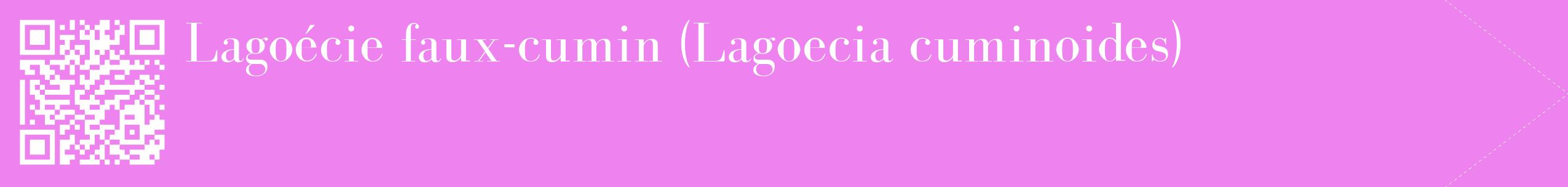 étiquette 2