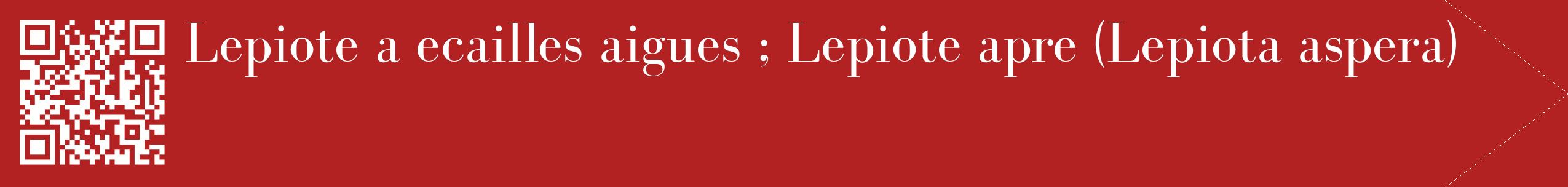 étiquette 2