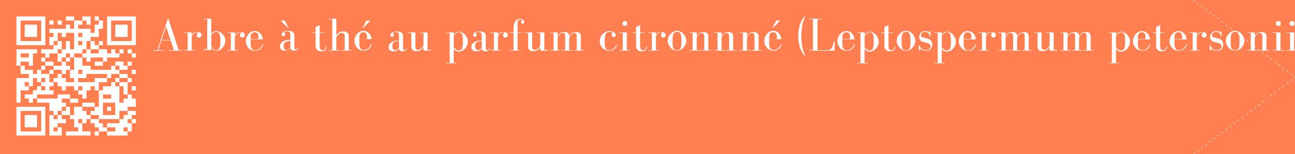 étiquette 2
