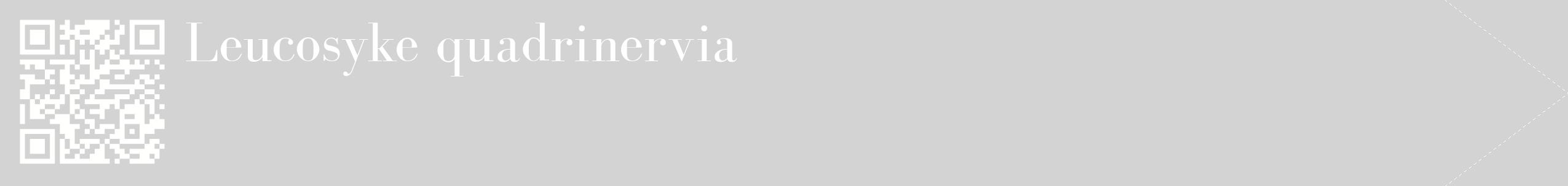 étiquette 2