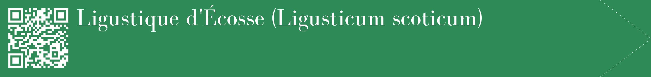 étiquette 2
