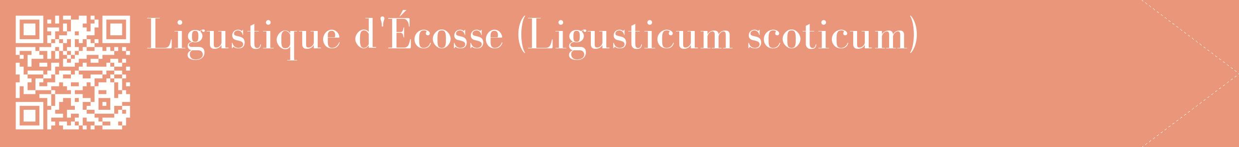étiquette 2