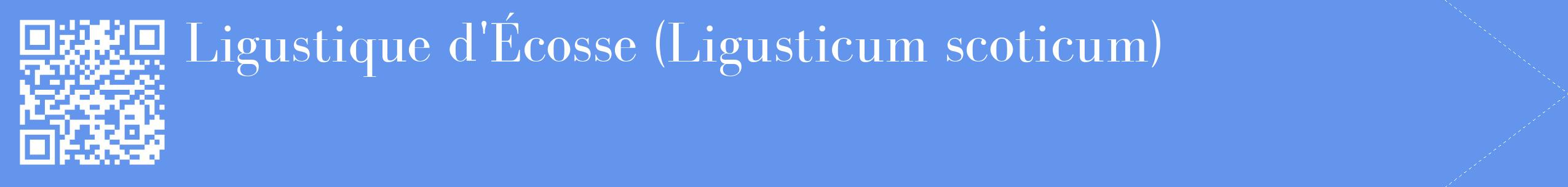 étiquette 2