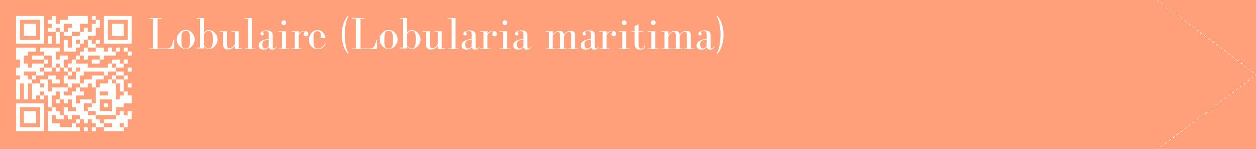 étiquette 2