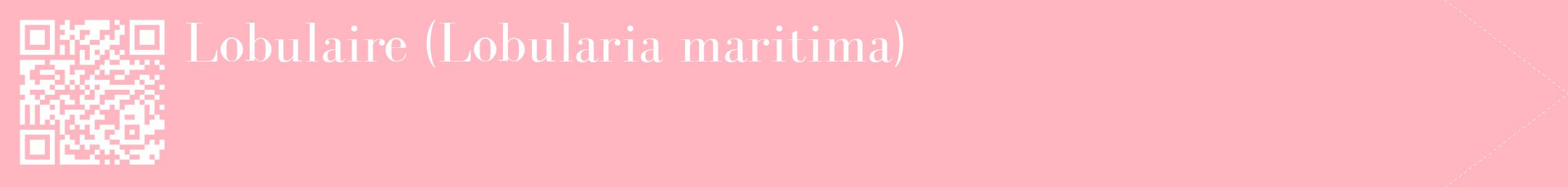 étiquette 2